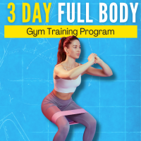 3 Day Full Body Gym Program