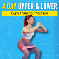 4 Day Upper & Lower Gym Program